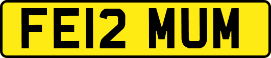 FE12MUM