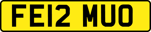 FE12MUO