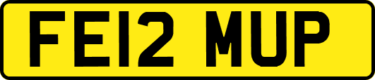 FE12MUP