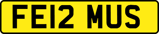 FE12MUS