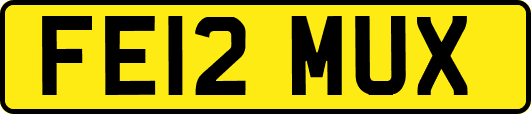 FE12MUX