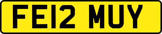 FE12MUY