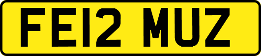 FE12MUZ
