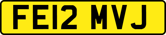 FE12MVJ