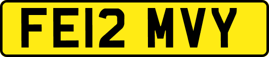 FE12MVY