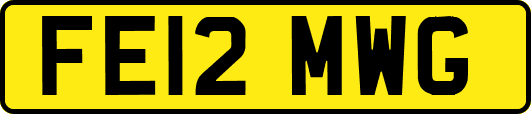 FE12MWG