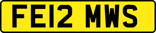 FE12MWS