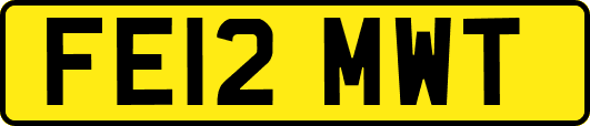 FE12MWT
