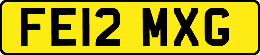 FE12MXG