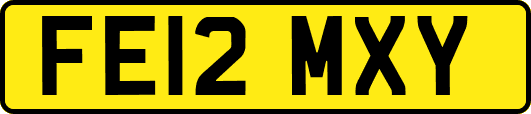 FE12MXY