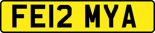 FE12MYA
