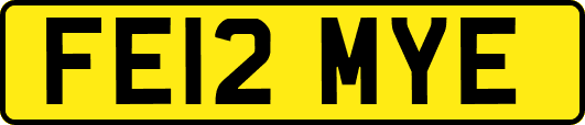 FE12MYE