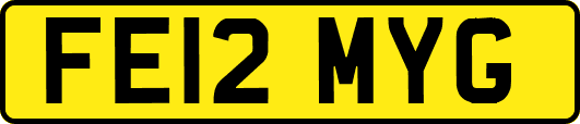 FE12MYG