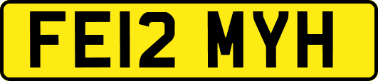 FE12MYH