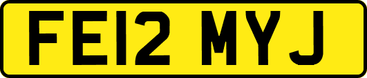 FE12MYJ