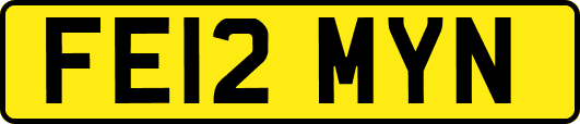 FE12MYN