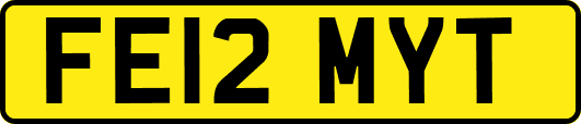 FE12MYT