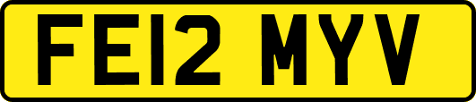 FE12MYV