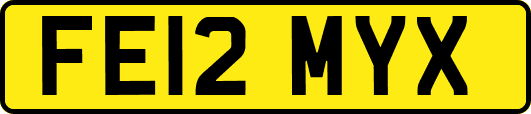 FE12MYX
