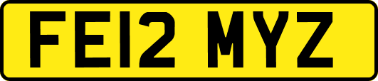 FE12MYZ