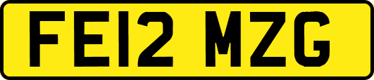 FE12MZG