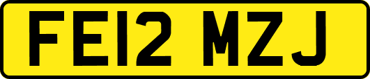 FE12MZJ