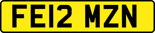 FE12MZN