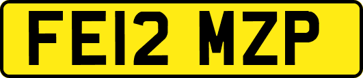 FE12MZP