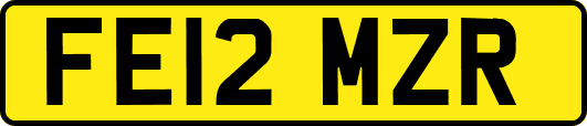 FE12MZR