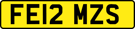 FE12MZS