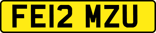 FE12MZU