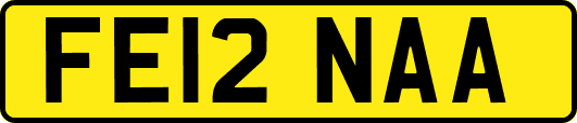 FE12NAA