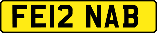 FE12NAB
