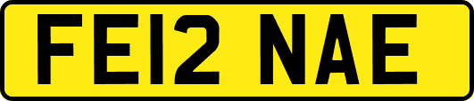 FE12NAE