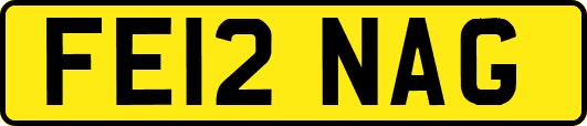 FE12NAG