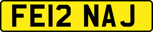 FE12NAJ