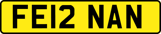 FE12NAN