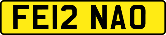 FE12NAO