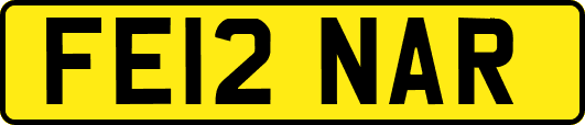 FE12NAR