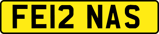 FE12NAS