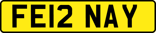 FE12NAY