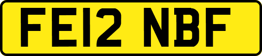 FE12NBF