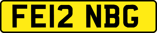 FE12NBG