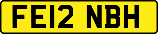 FE12NBH