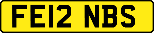 FE12NBS