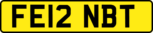 FE12NBT