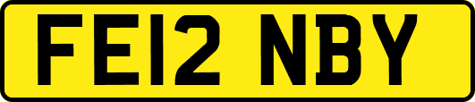 FE12NBY
