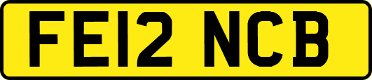 FE12NCB