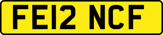 FE12NCF