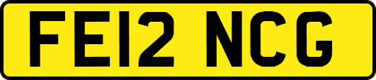 FE12NCG